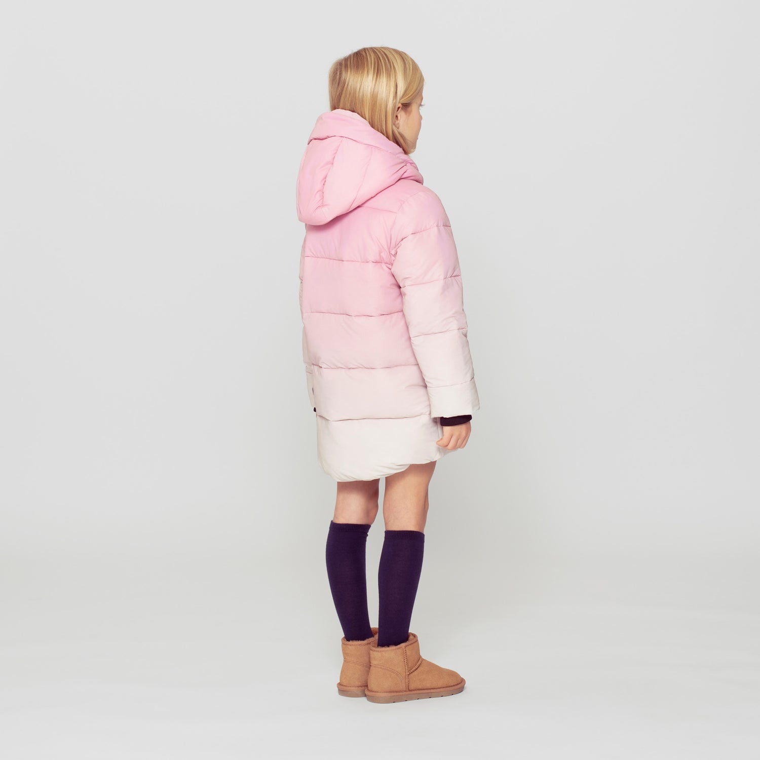 REFLECTIVE TIGER | sea pink gradient