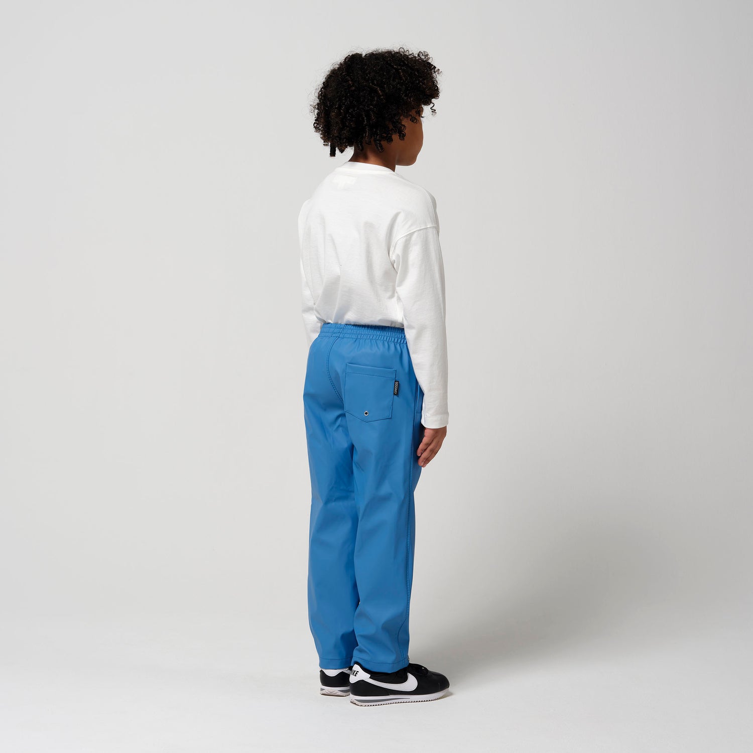 HIDDEN DRAGON | belize blue