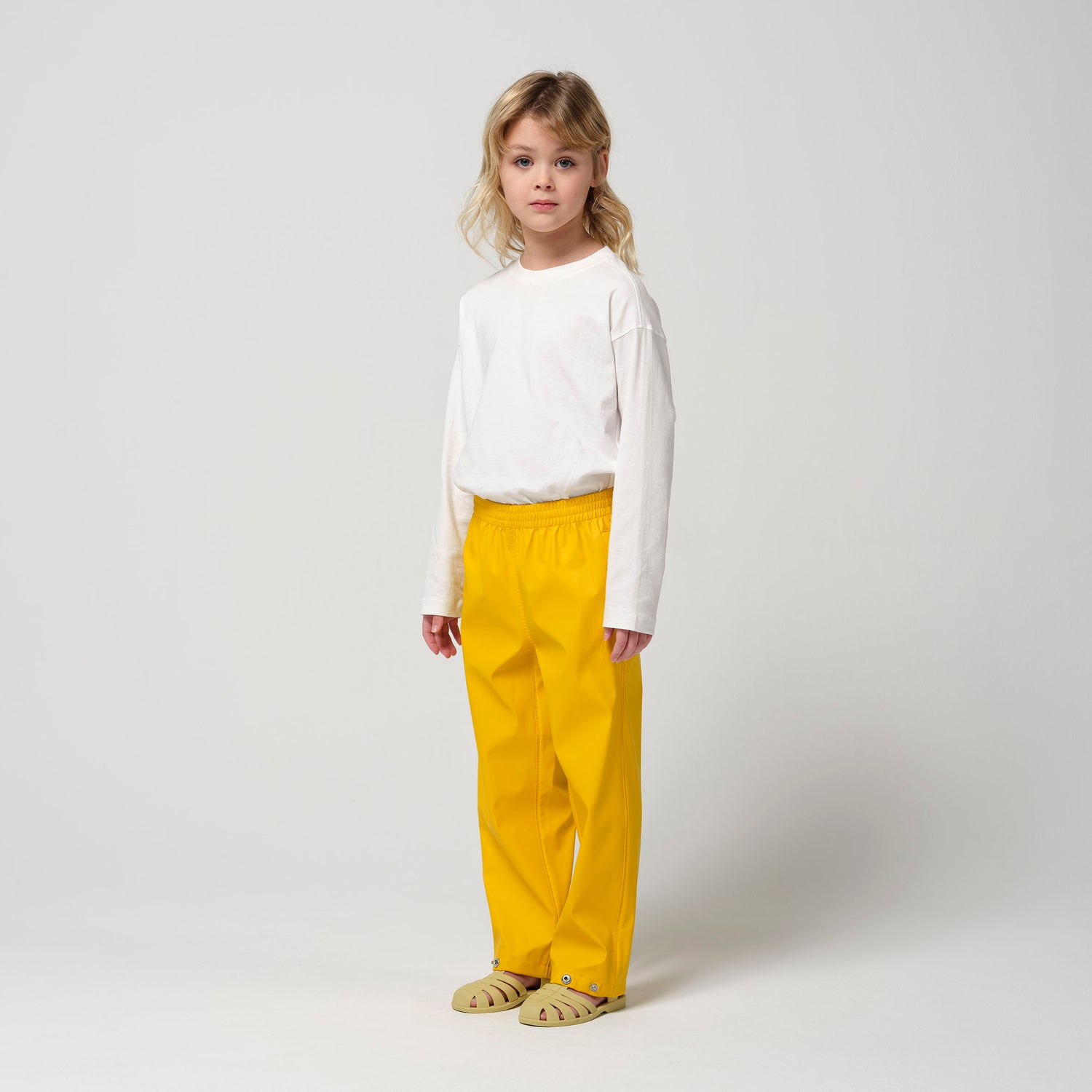 HIDDEN DRAGON | bumblebee yellow