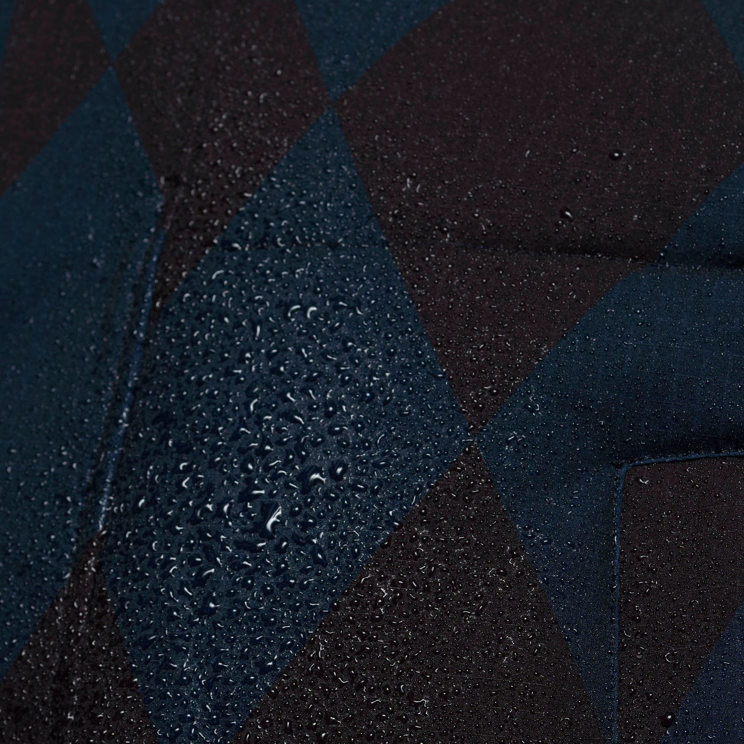DESERT FOX | argyle black / blue